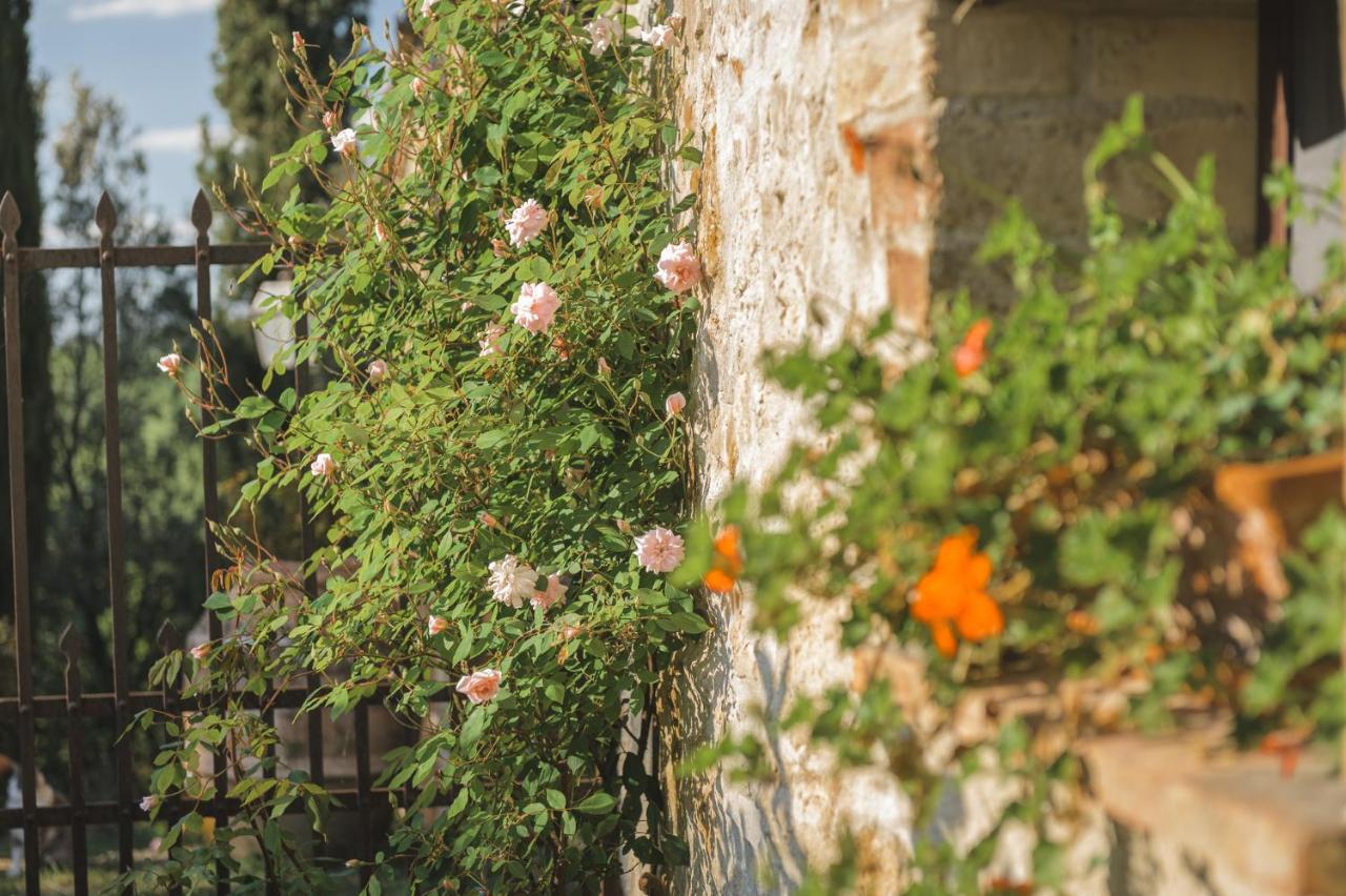 Agriturismo Cretaiole Πιέντσα Εξωτερικό φωτογραφία